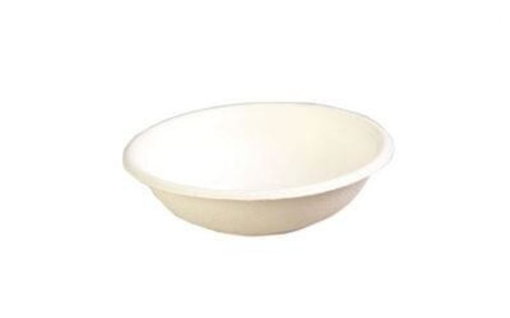 bagasse bowl