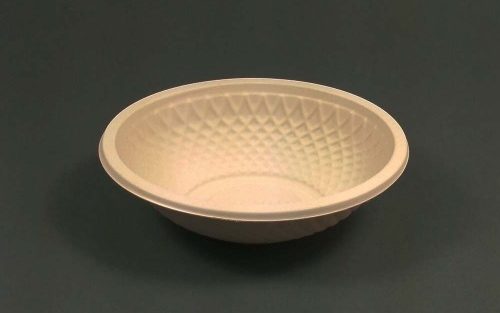 bagasse bowl