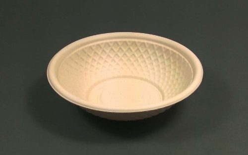 bagasse bowl