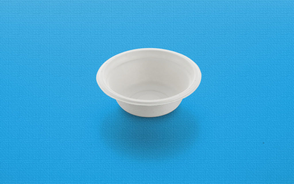baggase bowl