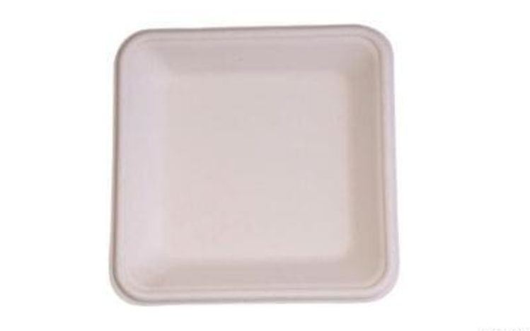 bagasse plate
