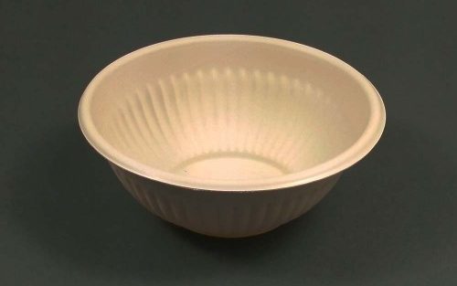 bagasse bowl