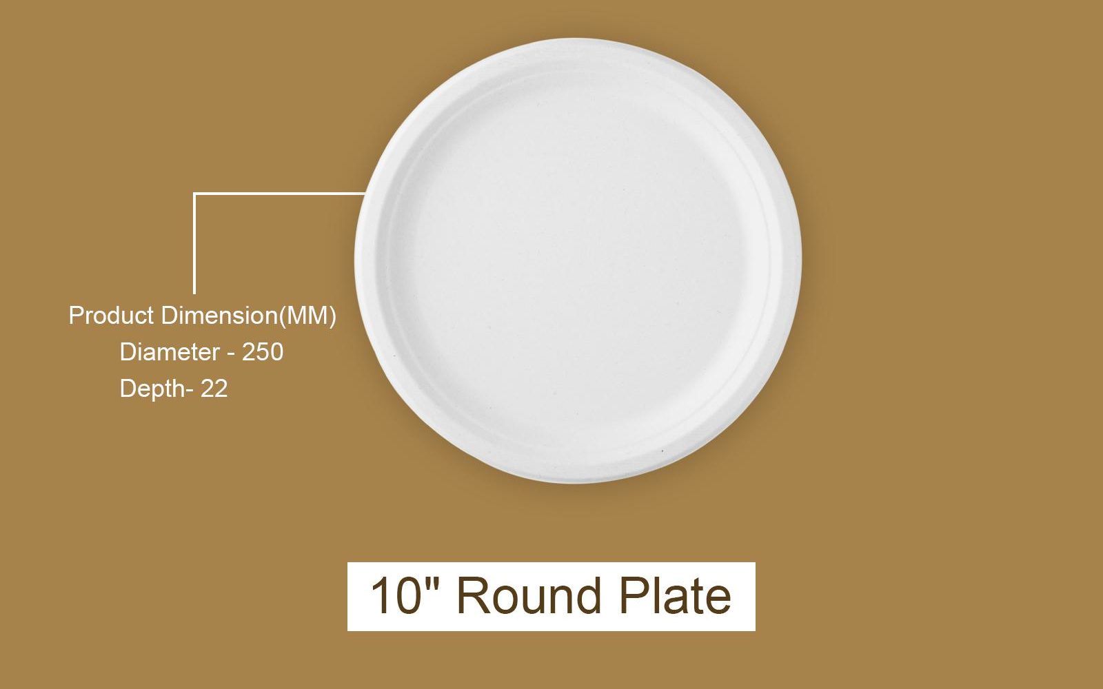 bagasse meal plate