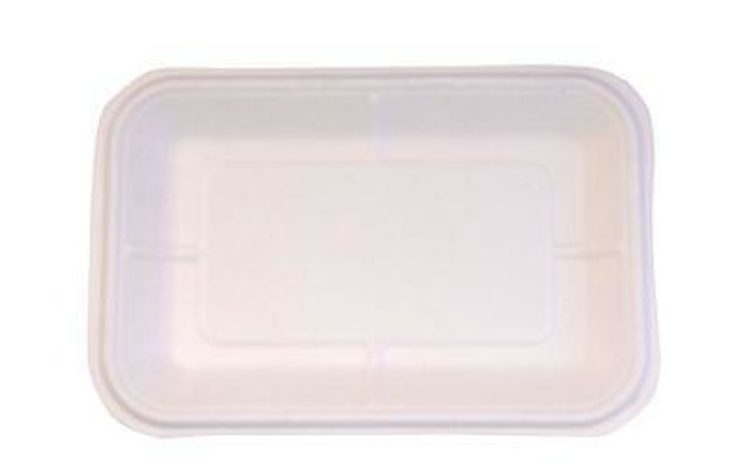 bagasse meal tray