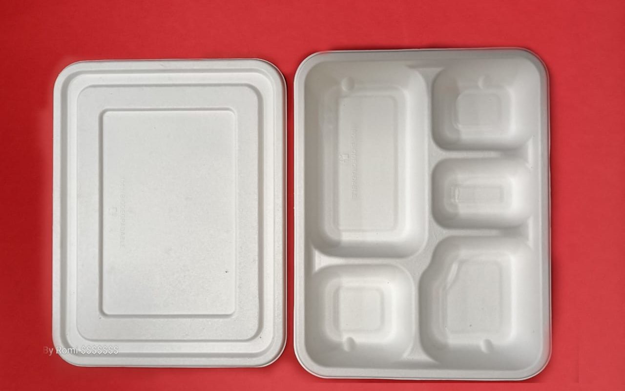 bagasse meal tray