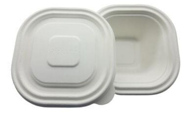 bagasse container