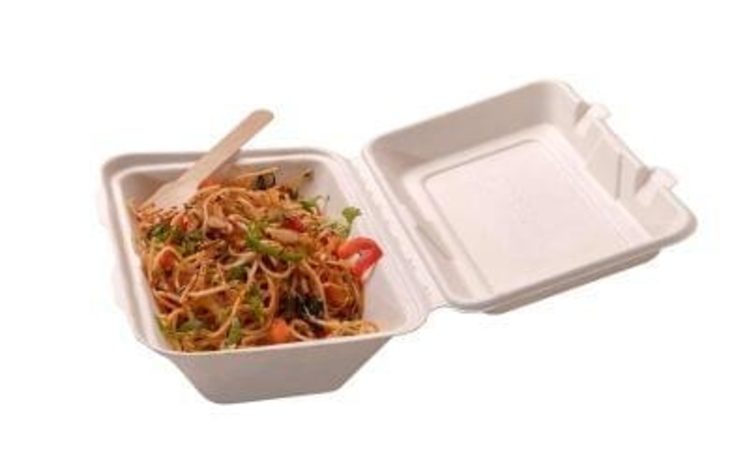 bagasse hinged container