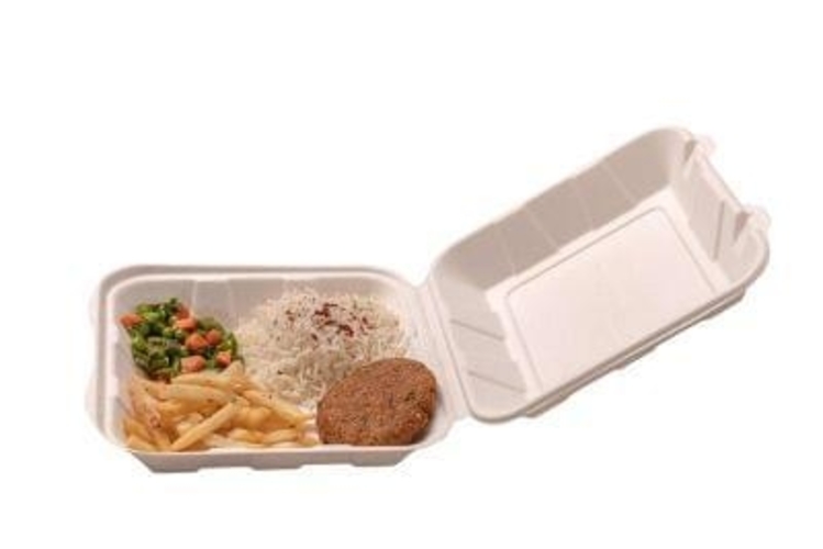 bagasse hinged container