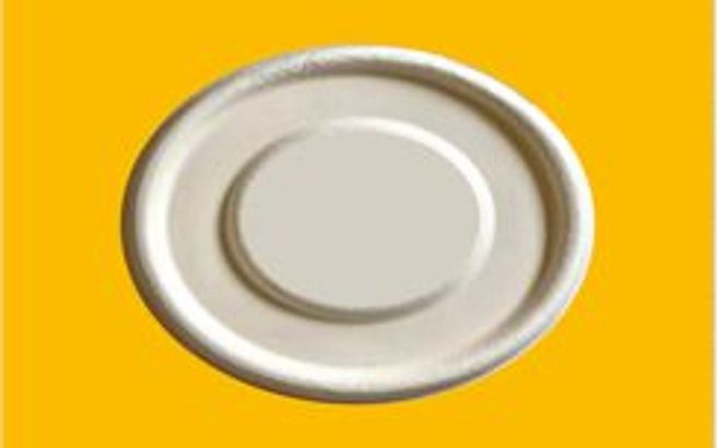 bagasse container lid