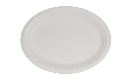 Bagasse Plate by channel packaging 